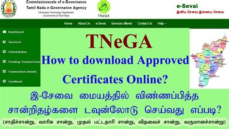 tnega certificate download